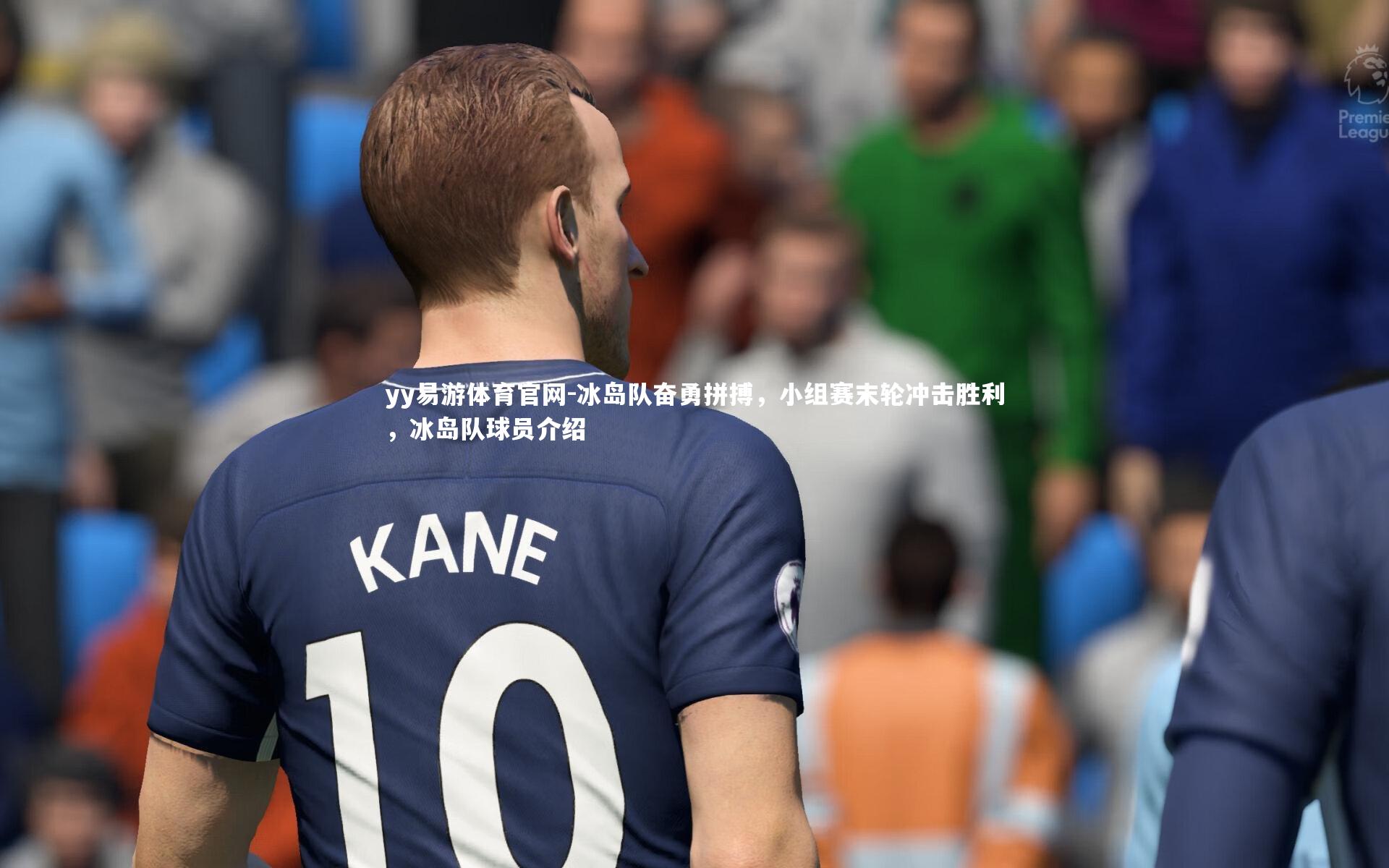 冰岛队奋勇拼搏,小组赛末轮冲击胜利,冰岛队球员介绍