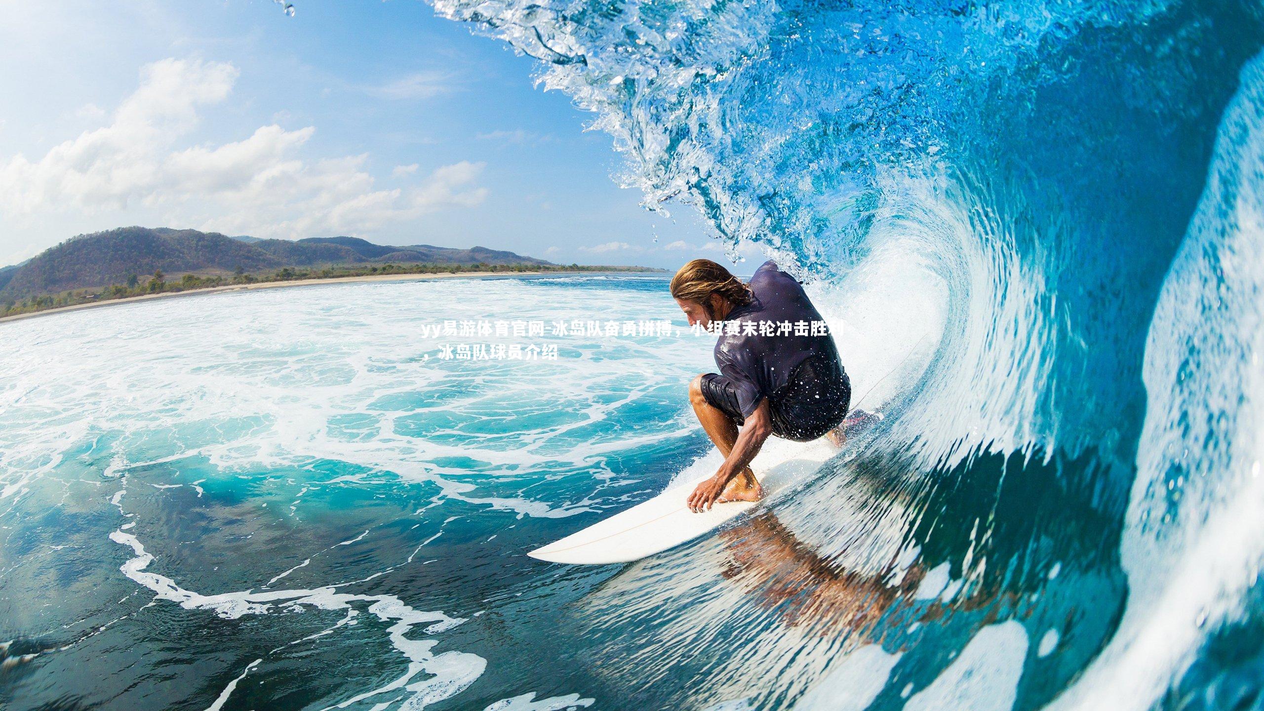 冰岛队奋勇拼搏,小组赛末轮冲击胜利,冰岛队球员介绍